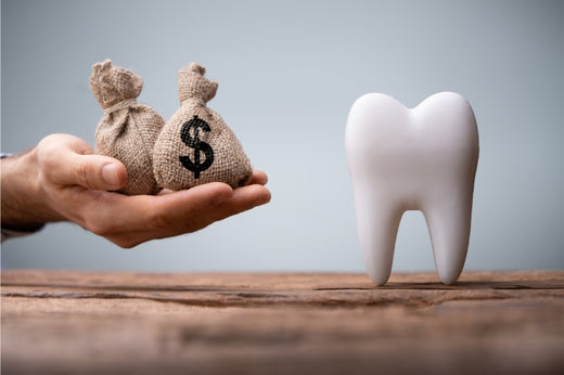 A hand holding cash bags alongside a tooth model