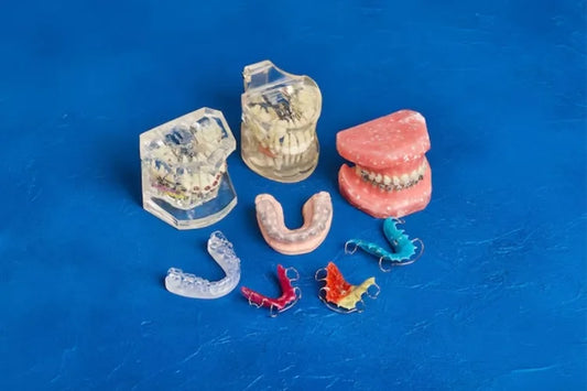 An artificial jaw with different types of retainers